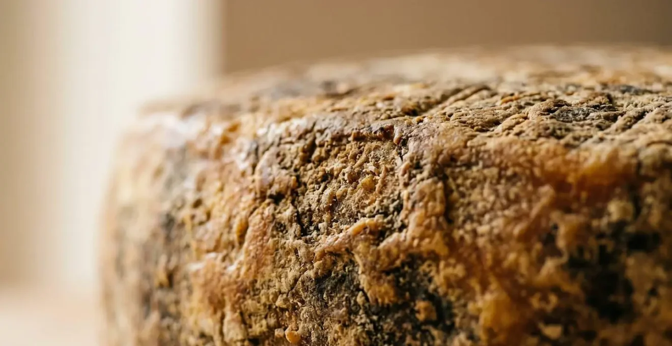 Macro dettaglio della crosta irregolare e naturale di un autentico formaggio di malga alpino